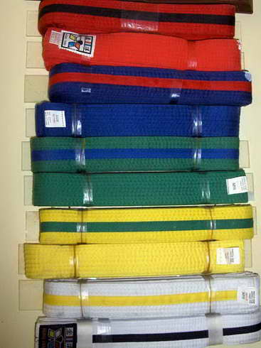 Brother's TaeKwonDo Belt System